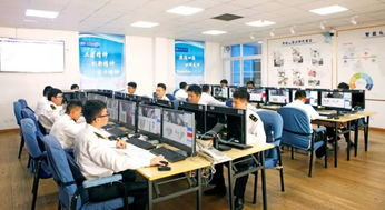 信息技术咨询服务助力青岛外理科技创新，理货服务再升级