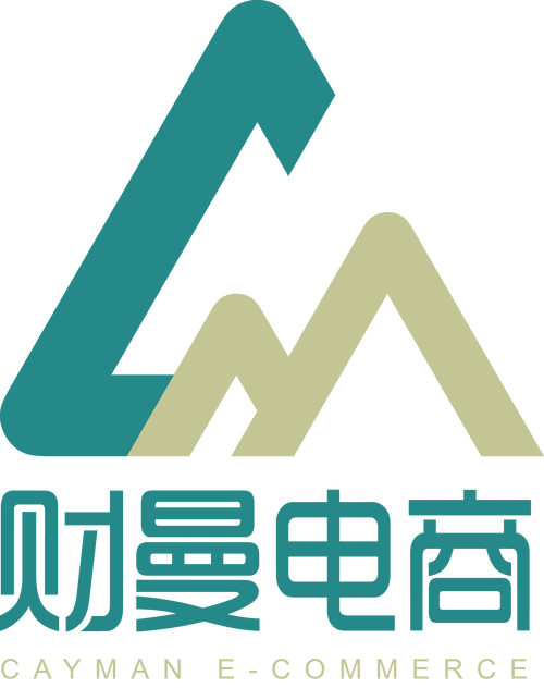 科技赋能与战略驱动 网络科技产品开发、销售及企业服务综合解析